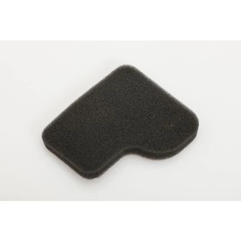 Rowenta, Tefal, Krups Motorschutzfilter, Staubsaugerfilter Für Compacteo - RS-RT900065