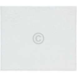 AEG Electrolux Mikrofilter, Filtermatte, Abluftfilter Für Staubsauger - 1924993395, Ersetzt 899668100151