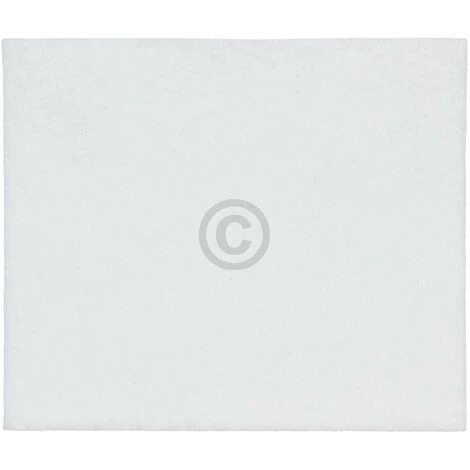 AEG Electrolux Mikrofilter, Filtermatte, Abluftfilter Für Staubsauger - 1924993395, Ersetzt 899668100151